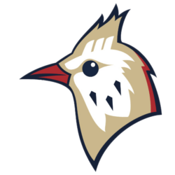 Logo der Berlin Skylarks